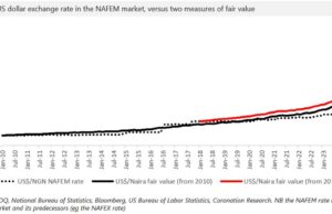 Analysis| Fair value and the Naira