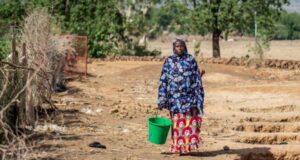 Acute food insecurity, malnutrition remain alarmingly high and concentrated in ten countries, including Nigeria- new UN, EU report
