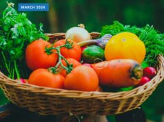 The troubling trade-offs and unintended consequences of the Federal Government’s recent food security strategy