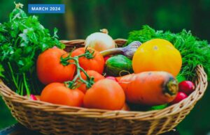 The troubling trade-offs and unintended consequences of the Federal Government’s recent food security strategy