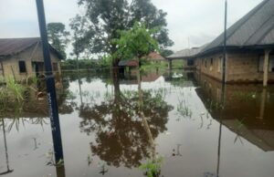Severe flooding in Biseñi, Bayelsa State destroys homes, farmlands, fish farms, and poultry facilities, NEMA leads relief effort