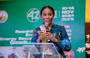 Nigeria’s Olu Verheijen joins G20 Africa Energy Investment Forum amid strategic reforms