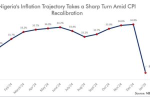 Explainer| Why Nigeria’s Inflation Drop in January 2025-A statistical mirage or a turning point?