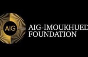 Global Healthcare at a Crossroads: How one initiative is transforming Nigeria’s primary care