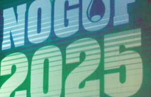 Shell sees bright future for Nigerian companies in offshore developments