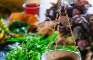 Global hunger declines, but rises in Africa and western Asia-new UN report