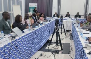 ECOWAS Member States meet to present updates on roaming service implementation, assess compliance with community price caps