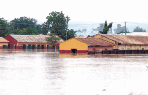 The EU and IRC conclude groundbreaking project to strengthen flood preparedness in Adamawa State