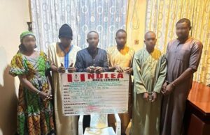 Drug kingpin, 5 others who framed 3 innocent Nigerians detained by Saudi authorities for alleged drug trafficking captured by the NDLEA