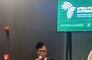 IITA-CGIAR Seed Specialist Mercy Elohor Diebiru-Ojo wins Africa Food Prize 2025