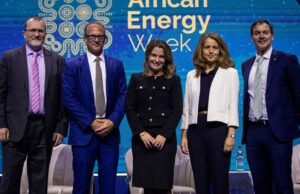 TotalEnergies, Chevron push for faster permits, better seismic data in Africa