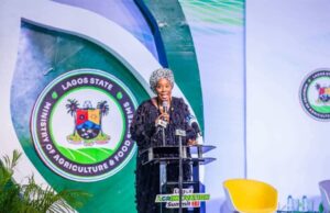 AGRINNOVATION SUMMIT 2.0| Lagos rewards 33 young agripreneurs with N150 million, assure investment and funding support