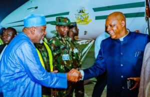 COP30| Nigeria targets $3 billion annually in carbon finance over the next decade after VP Shettima’s meetings on carbon market cooperation