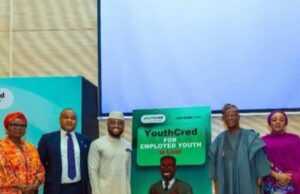 Why FG’s N5 million Youth Credit Scheme for gainfully employed Nigerian matters