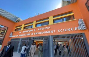 Historical recognition for former AfDB President Adesina as University of Gambia re-names faculty in his honor