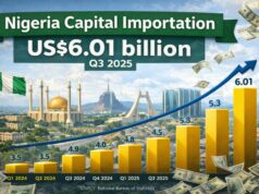 Nigeria’s capital importation rebound: Encouraging signals, but structural risks persist