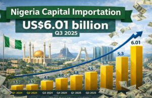 Nigeria’s capital importation rebound: Encouraging signals, but structural risks persist