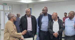 South Africa’s Government Employees Pension Fund and Public Investment Corporation signal strong interest in Dangote Refinery IPO