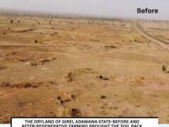 From degraded lands to resilient futures: Nigeria’s ACReSAL Project delivers big climate, livelihood wins