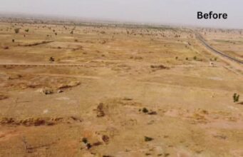 From degraded lands to resilient futures: Nigeria’s ACReSAL Project delivers big climate, livelihood wins