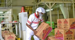 Honeywell Flour profit rises 13% despite revenue dip as stronger margins lift shareholder value