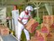 Honeywell Flour profit rises 13% despite revenue dip as stronger margins lift shareholder value