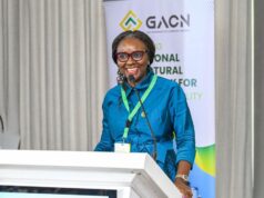 NUPRC calls for joint action on gas-to-power challenges