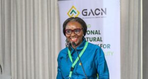 NUPRC calls for joint action on gas-to-power challenges