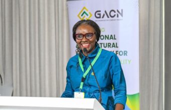 NUPRC calls for joint action on gas-to-power challenges