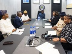 NLNG’s $10 billion Train 7 project reaches 90% completion