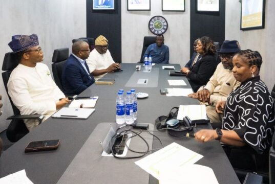 NLNG’s $10 billion Train 7 project reaches 90% completion