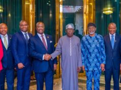Livestock Ministry is turning farmer-herder conflict into economic opportunity, says President Tinubu to Afreximbank officials
