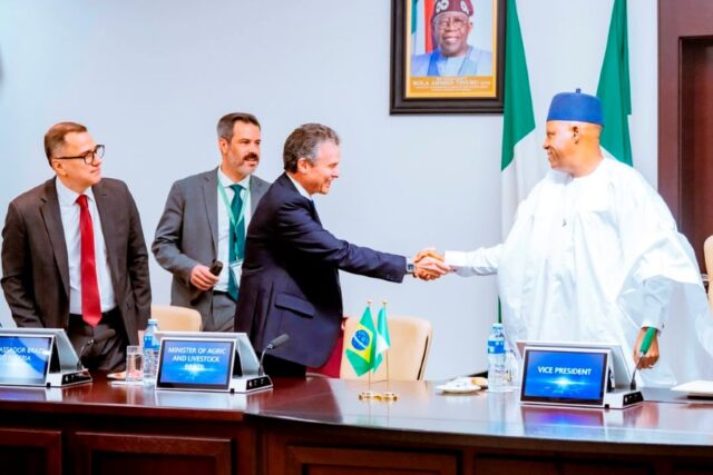 André Carlos Alves de Paula Filho recieved by Vice President Kashim Shettima