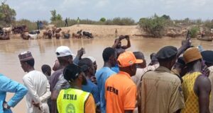 Five dead, nine missing after boat capsizes in Jigawa as search intensifies