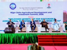 VP Shettima launches $500 million Niger Delta Agricultural Investment Fund