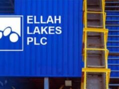 Ellah Lakes posts stronger H1 revenue as capital restructuring positions agro-Group for next growth phase