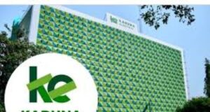 NERC sacks KAEDC board, begins hunt for new core investor