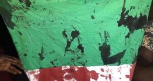 Police fire tear gas at #EndSARS Memorial as Nigerians remember victims