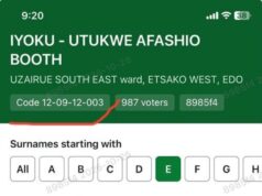 The Big Story| 2027 POLLS: Prof. Utomi flags AI generated images in voters’ register