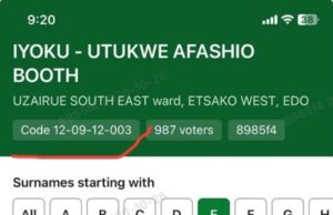The Big Story| 2027 POLLS: Prof. Utomi flags AI generated images in voters’ register