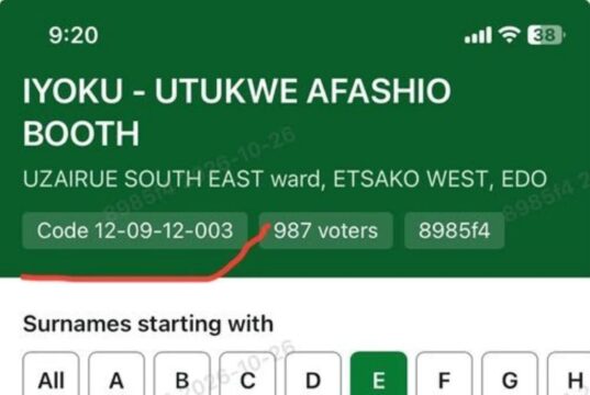 The Big Story| 2027 POLLS: Prof. Utomi flags AI generated images in voters’ register