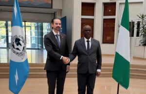 Nigeria police chief Disu meets Interpol head over cross-border crime