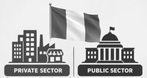 Private sector credit slips as government borrowing surges 19.3% in September