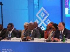 Nigeria’s Finance Minister Oyedele Chairs G-24 Ministers, urges fairer global financial policies